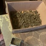 У Царичанці правоохоронці виявили у місцевого жителя наркотиків на 200 тисяч гривень ФОТО