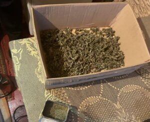 У Царичанці правоохоронці виявили у місцевого жителя наркотиків на 200 тисяч гривень ФОТО