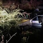 Вбивство через конфлікт на дорозі: поліцейські Дніпра затримали підозрюваного ФОТО