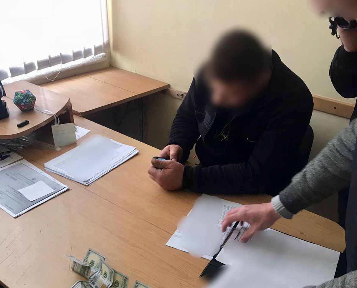 У Миколаєві чоловік, який незаконно рубав дерева, намагався підкупити поліцейського ФОТО