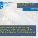 На Кіровоградщині засудили «чорного» лісоруба, який завдав довкіллю збитків на 300 тисяч ФОТО