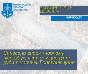 На Кіровоградщині засудили «чорного» лісоруба, який завдав довкіллю збитків на 300 тисяч ФОТО