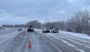 Поблизу Житомира водій наїхав на жінку з двома дітьми ФОТО