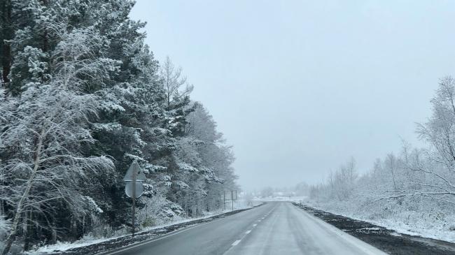 Рівненщину замело: є екстрені відключення електроенергії ФОТО