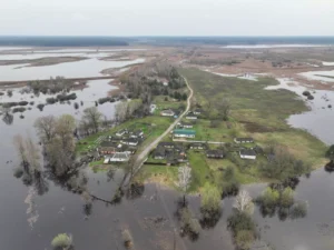 Понад 800 дворогосподарств України у воді: як рятувальники ліквідують наслідки підтоплення ФОТО