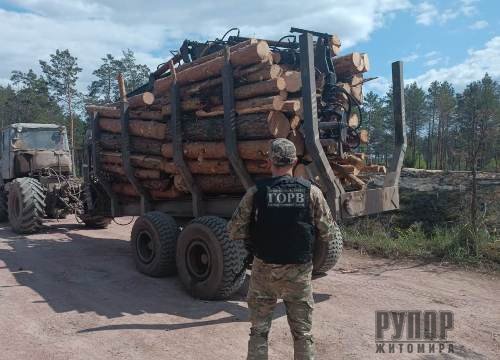 Чергову партію необлікованого лісу виявили прикордонники на Житомирщині ФОТО