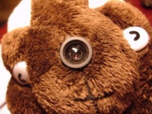 Кременчужанин торгував на OLX плюшевими ведмедями з прихованими відеокамерами ФОТО