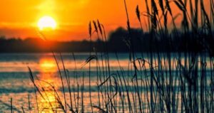 На Миколаївщині у річці потонула 15-річна дівчинка ФОТО