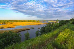 На Півдні України активізувалися чорні копачі, які розкрадають археологічні об'єкти ФОТО