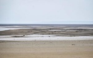 На оголеному дні Каховського водосховища виловлюють чорних археологів ФОТО