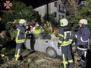 В Запоріжжі повалені шквальним вітром дерева пошкодили більше 10 автомобілів ФОТО