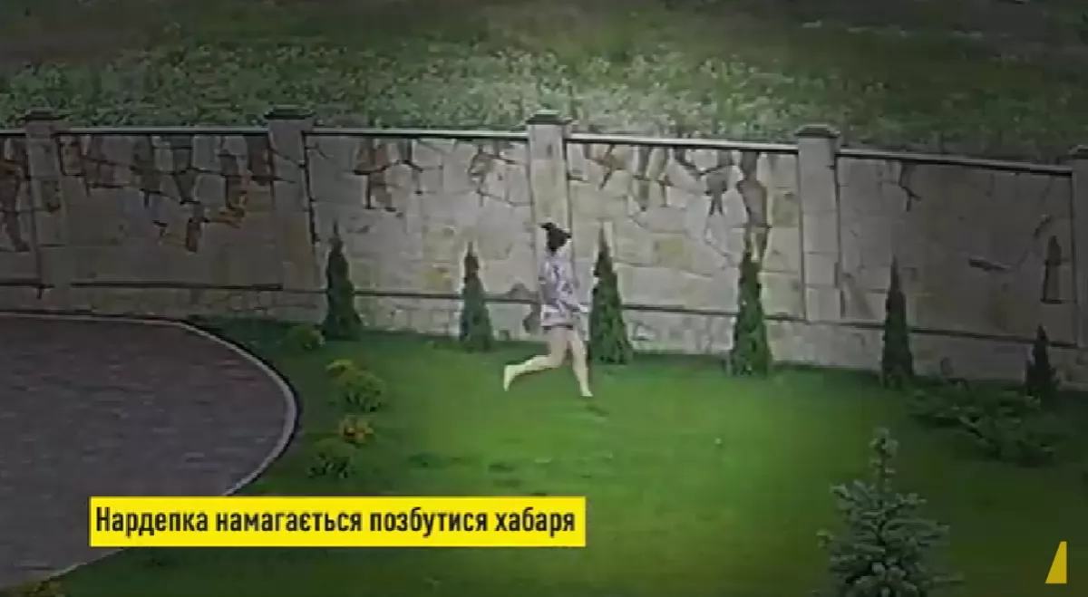 Народна депутатка Марченко намагалася викинути хабар за паркан, коли до неї прийшли з обшуком ФОТО