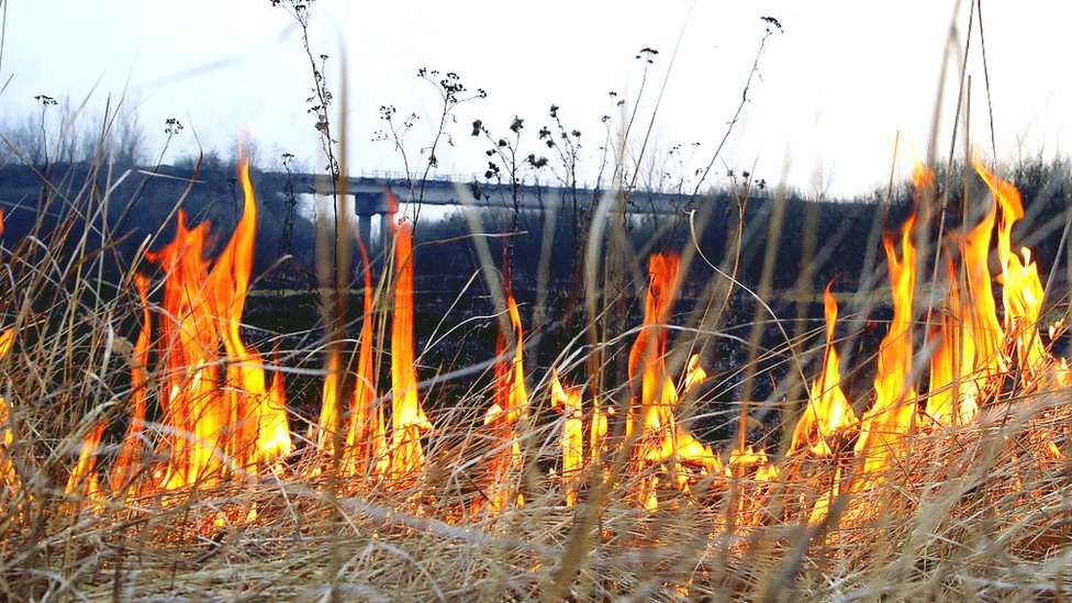 На Полтавщині під час спалювання сухої трави загинув літній чоловік ФОТО