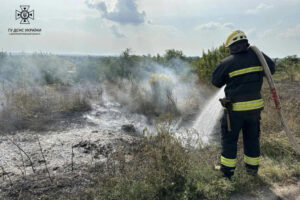 На Дніпропетровщині протягом доби вогнеборці ліквідували 34 пожежі в екосистемах ФОТО
