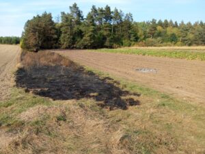 Жителька Борсуківської громади отримала смертельні травми через паління сміття на городі ФОТО