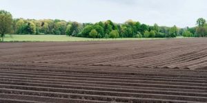 Прокуратура Тернопільщини забрала в аграрія землю вартістю понад 300 мільйонів гривень ФОТО