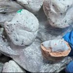 У Києві патрульні зупинили чоловіка, який розкладав камінчики з “сюрпризом” ФОТО