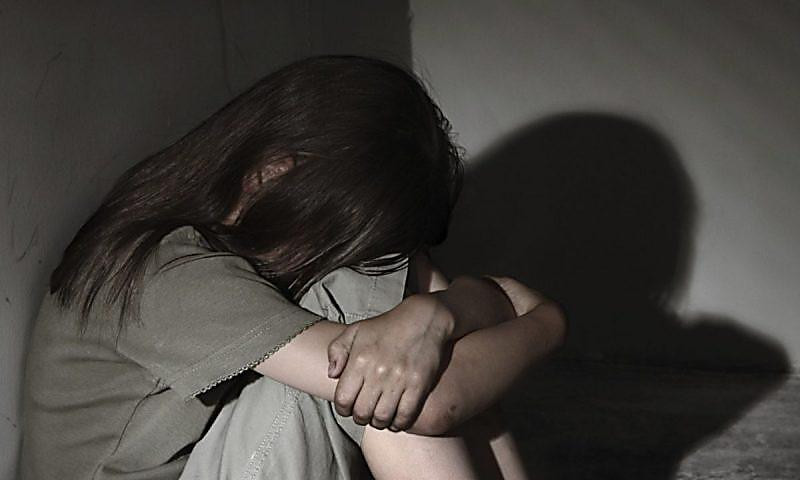 На Львівщині покарали зловмисника, який зґвалтував 12-річну дівчинку в присутності її молодшої сестри ФОТО