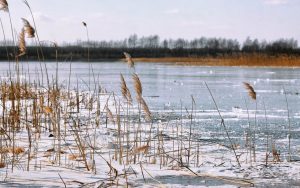 Трагедія у Польщі: українські підлітки провалилися під кригу і загинули ФОТО