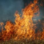 11 квітня в Україні оголошено надзвичайний рівень пожежної небезпеки ФОТО