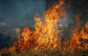 11 квітня в Україні оголошено надзвичайний рівень пожежної небезпеки ФОТО