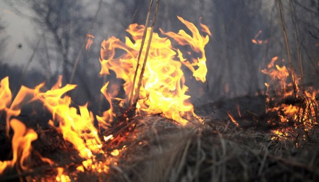 Понад 10 тисяч природних пожеж сталося в Україні з початку року - ДСНС ФОТО